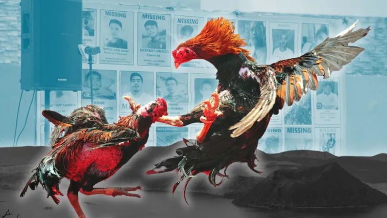 Cách Chơi Đá Gà Sabong Tại 78Win Dễ Thắng Cho Người Mới
