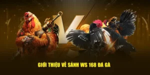 Cách Chơi Đá Gà WS168 Tại 78Win Dễ Thắng Cho Người Mới