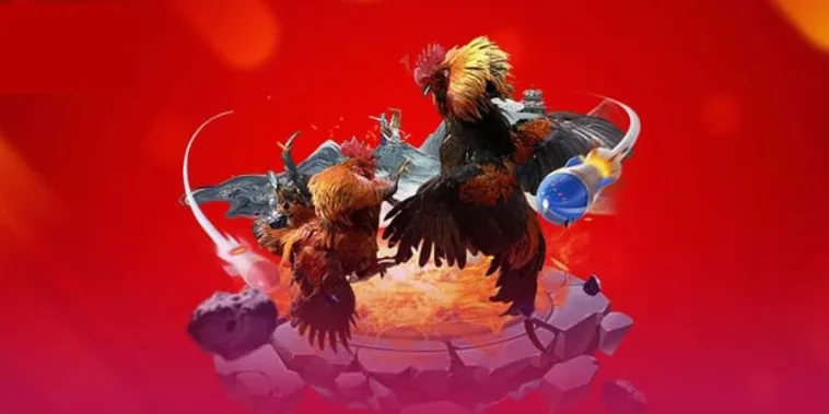 Cách Chơi Đá Gà 3D Tại 78Win Hấp Dẫn Nhất Cho Người Mới