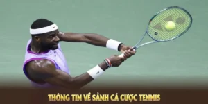 Tìm Hiểu Cá Cược Quần Vợt 78Win Để Tăng Cơ Hội Thắng Lớn